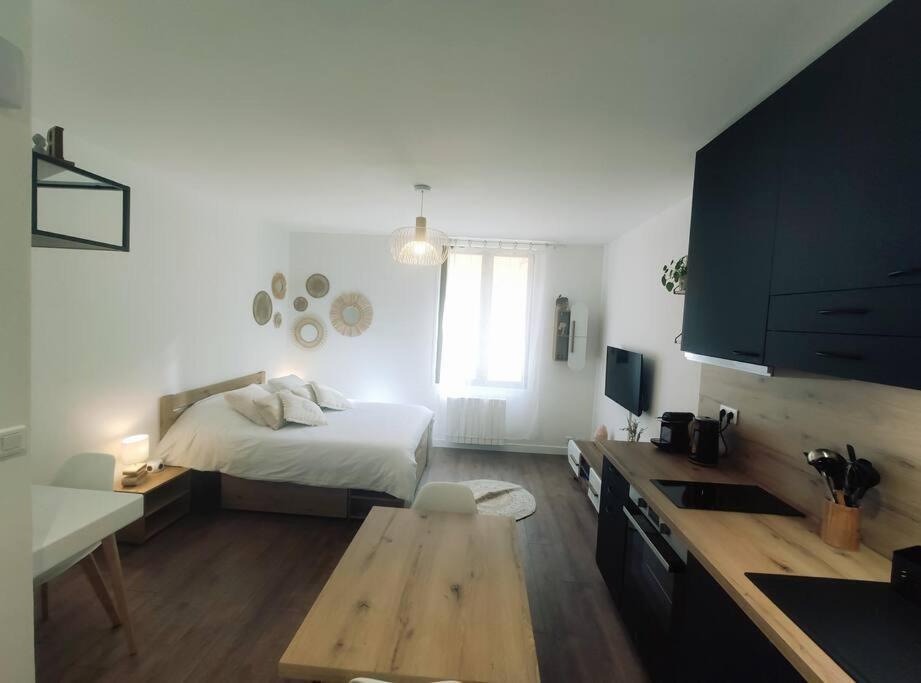 Annecy Vieille Ville, Superbe Appartement Au Calme Ngoại thất bức ảnh